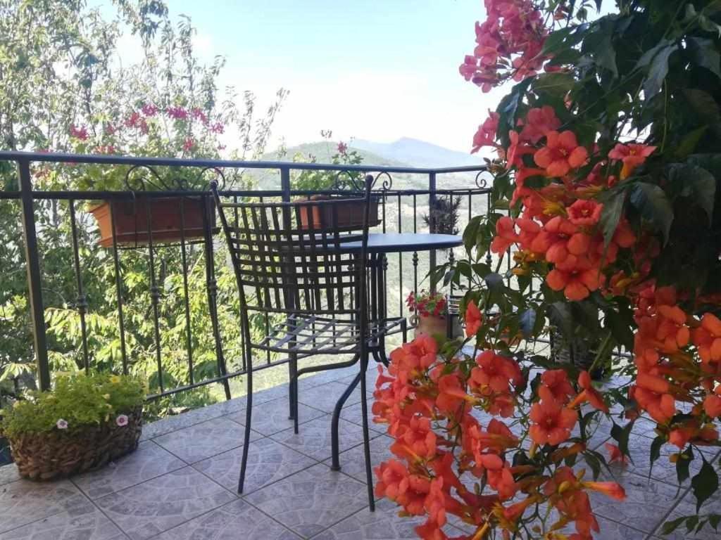 Agriturismo Al Pagan Pigna Exteriér fotografie